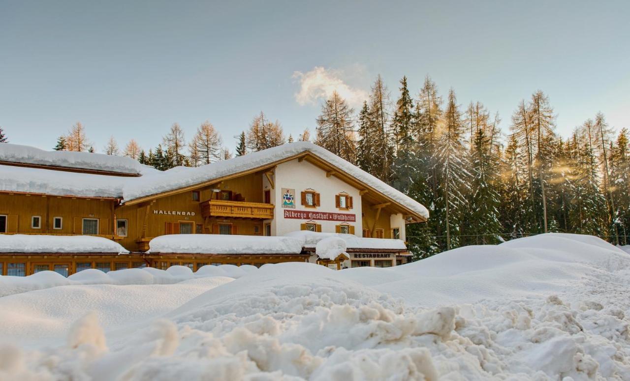Hotel Waldheim Sarnonico Zewnętrze zdjęcie